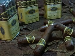 Tabacos de Holguín 14